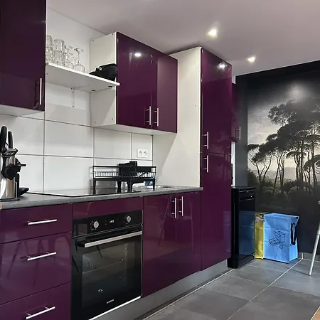 The Purple - Duplex - Center Apartamento Mulhouse