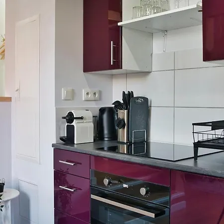 Appartamento The Purple - Duplex - Center Mulhouse