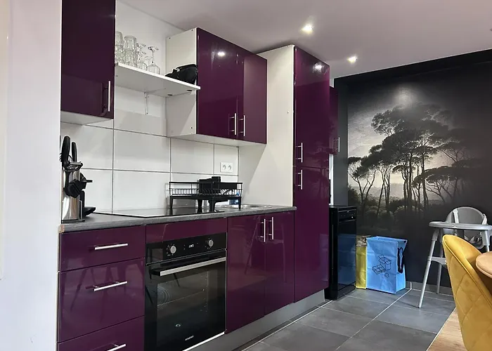 The Purple - Duplex - Center Apartamento Mulhouse