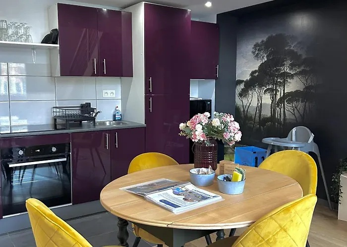 The Purple - Duplex - Center Apartamento Mulhouse